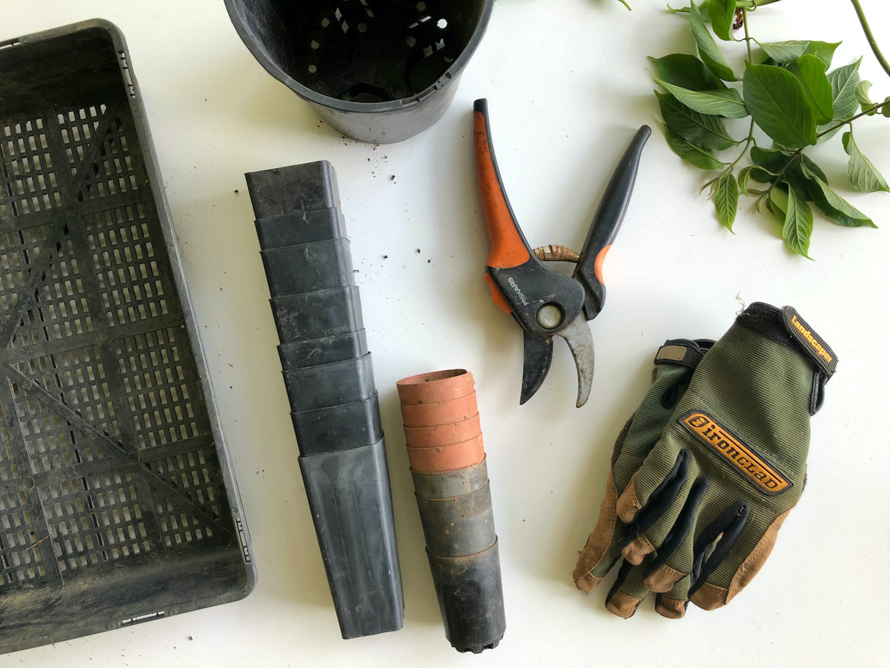 Gardening tools and a table