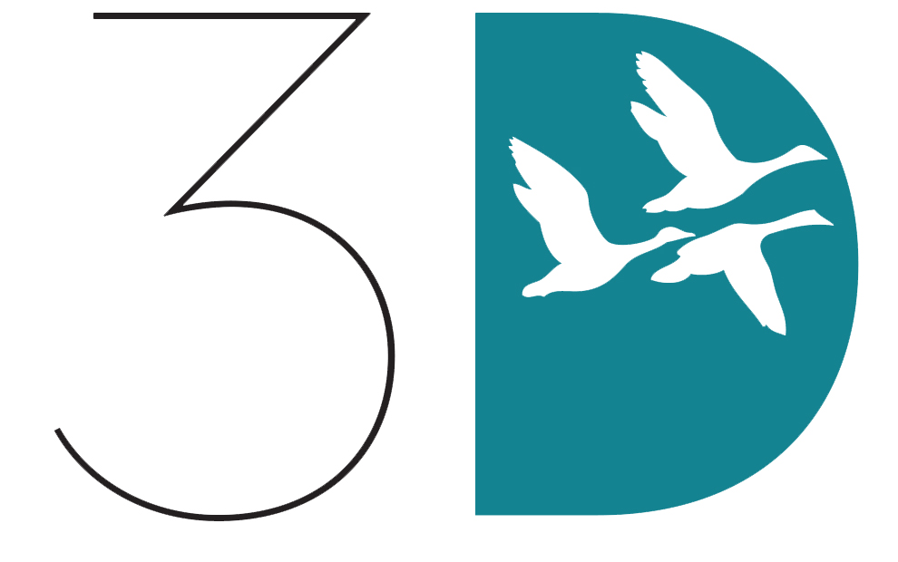 3D logo