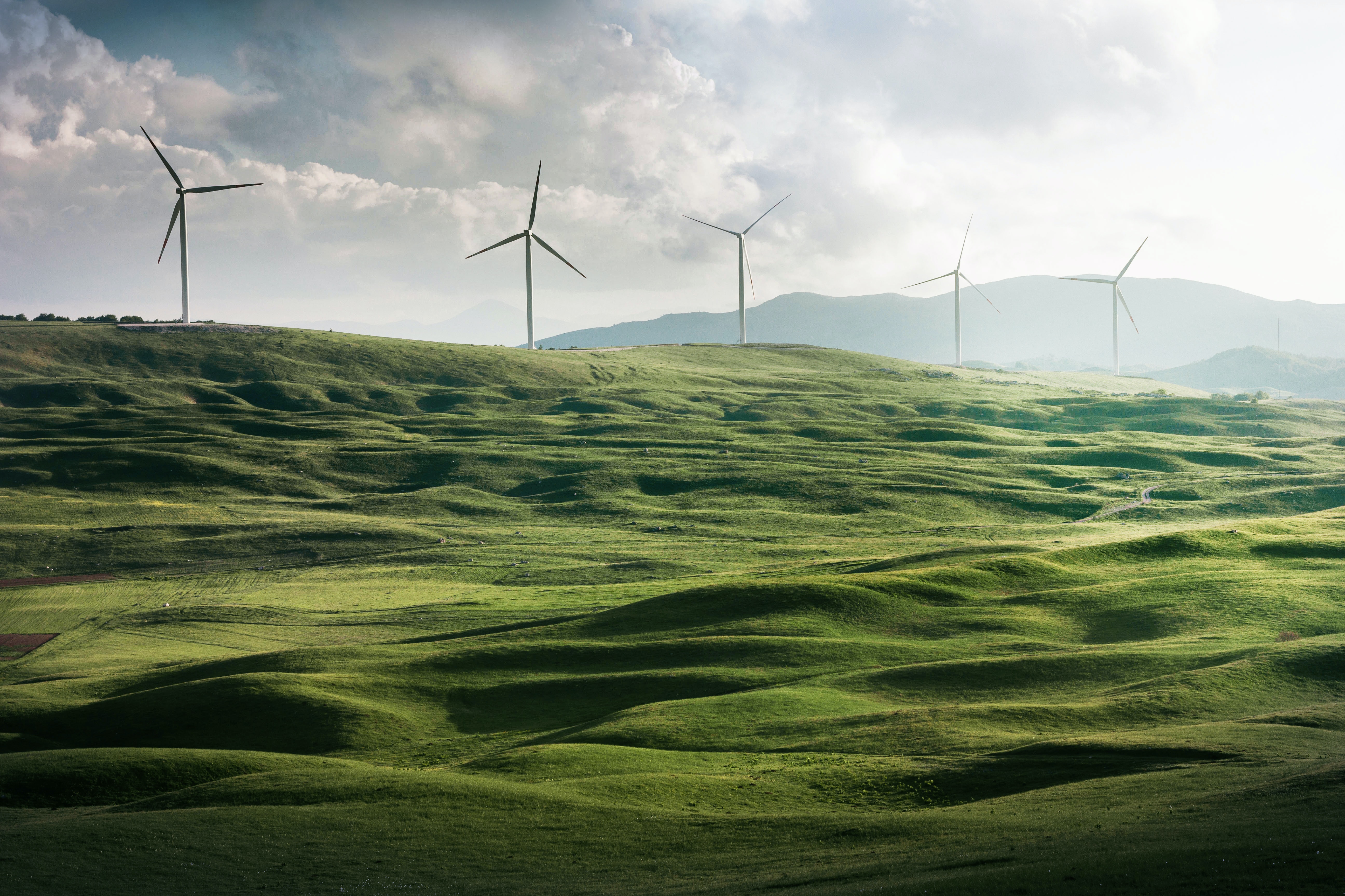 Wind farm in the countryside