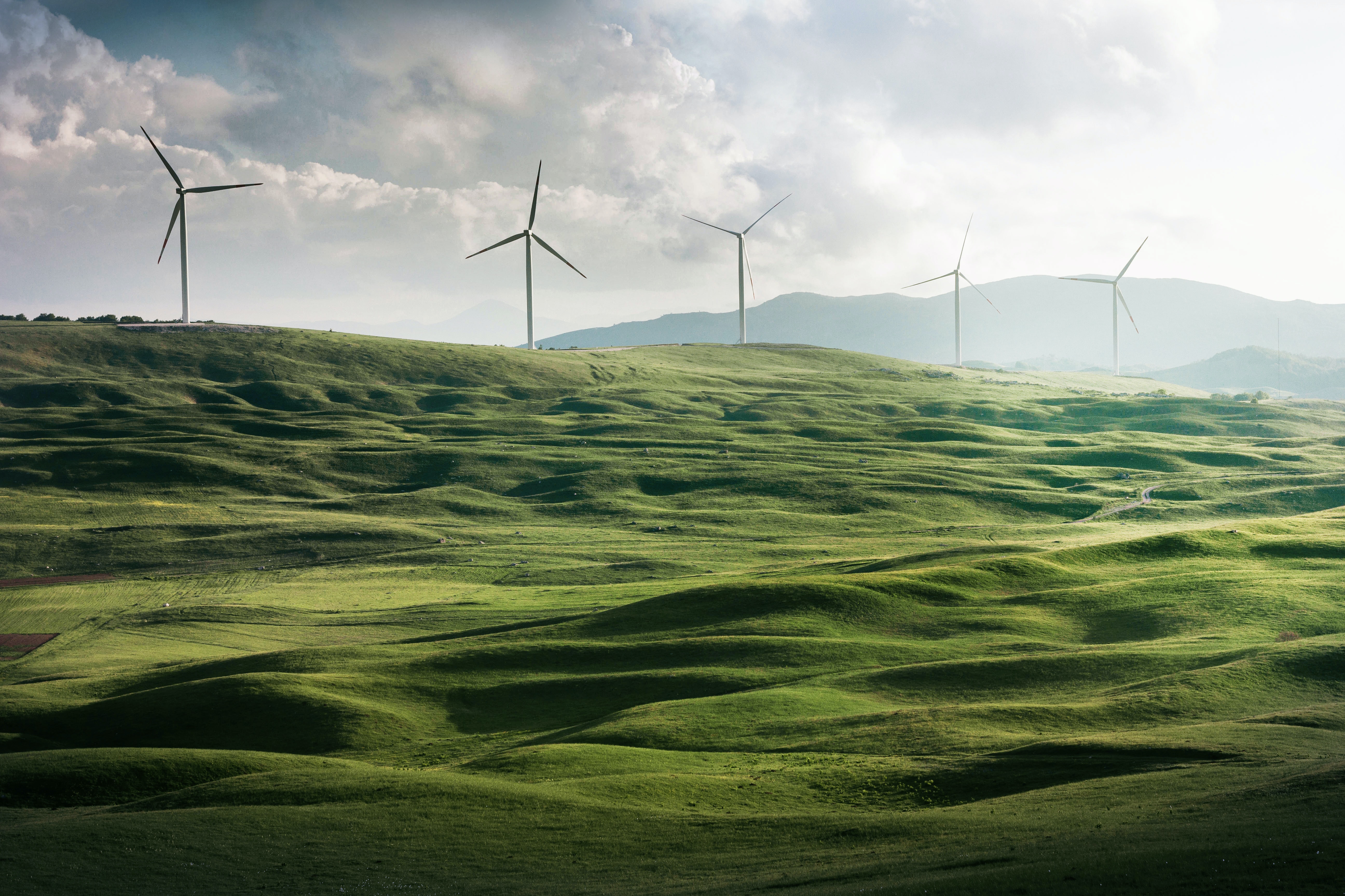 Field filled with wind turbines 