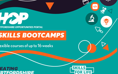 Skills bootcamp poster