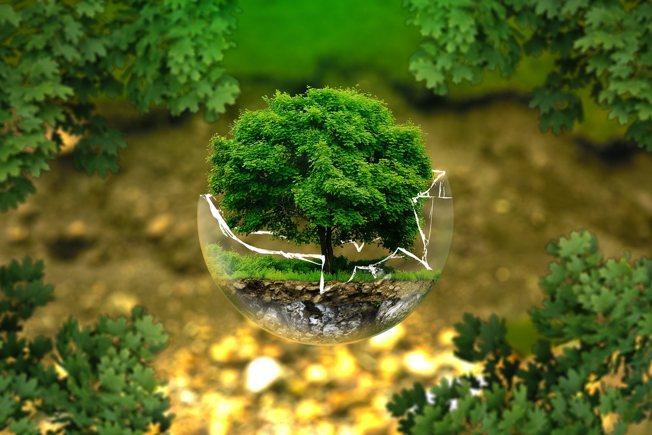 Tree in a glass ball